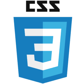 CSS Logo